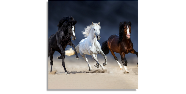 Tres Caballos Corriendo