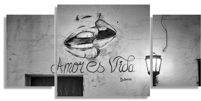 Amor es Vida