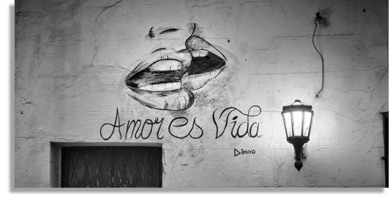 Amor es Vida