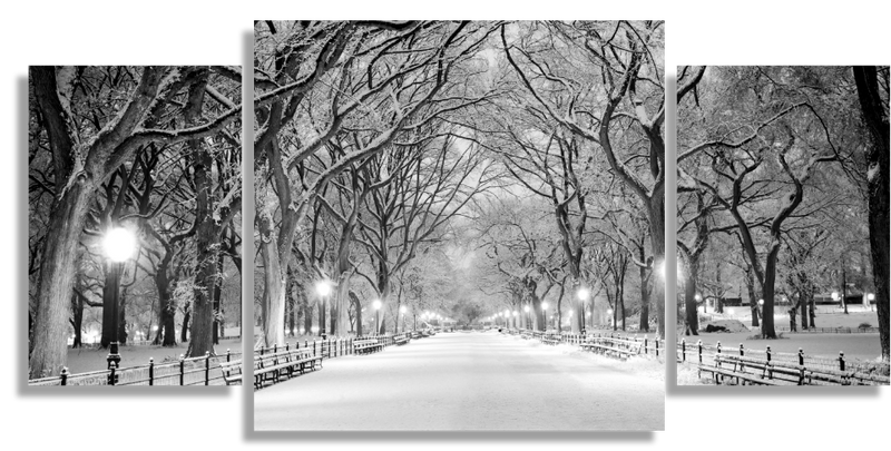 Central park in snow