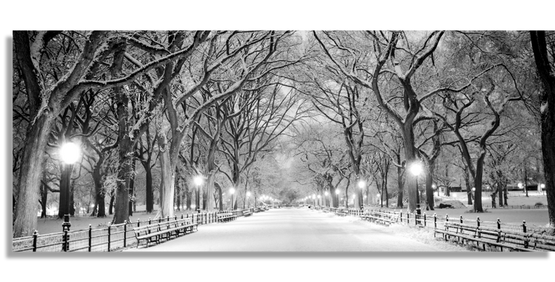 Central park in snow