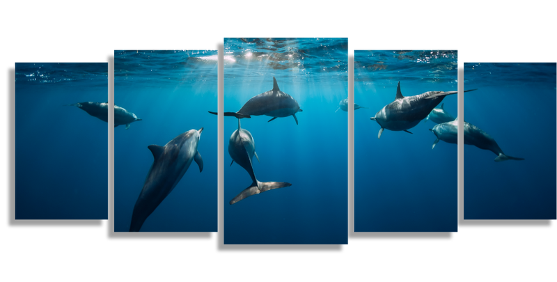 Delfines bajo el Agua