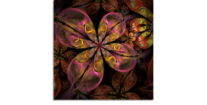 Fractal Flowers