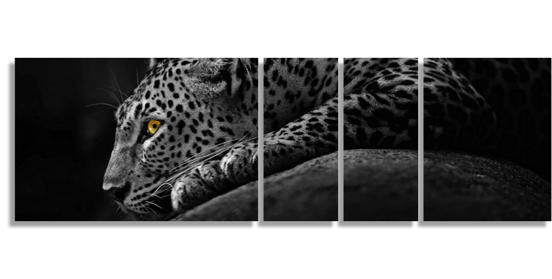 Leopard Soul