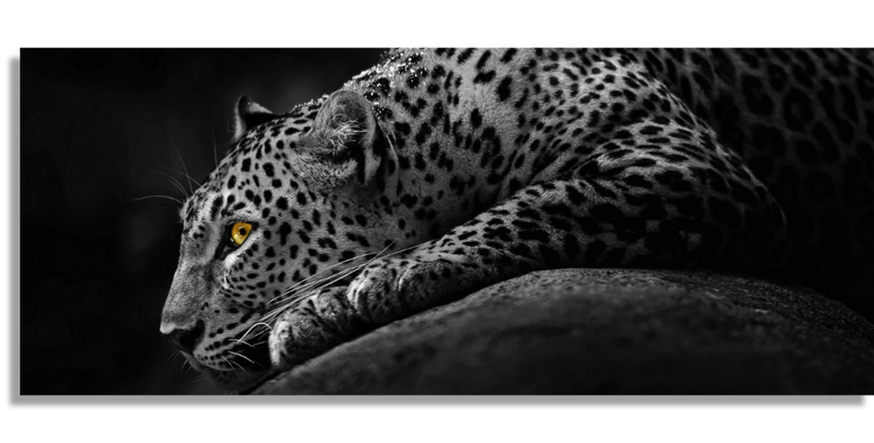 Leopard Soul