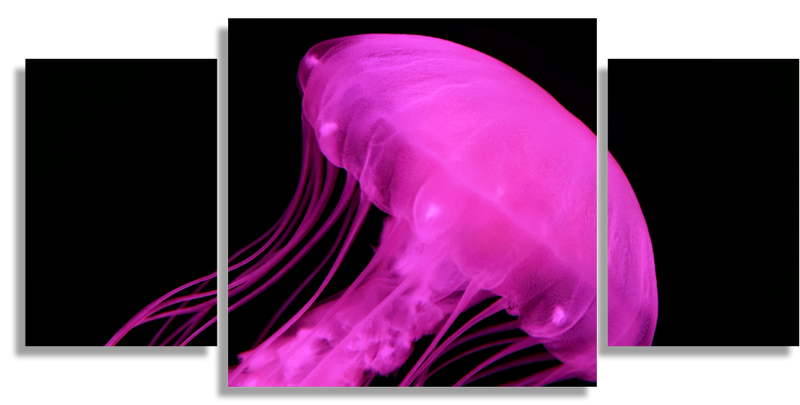 Pink Jelly