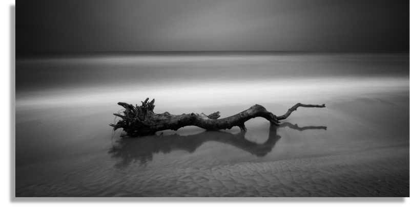 Serpent