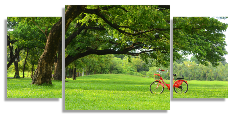 Under Big Tree