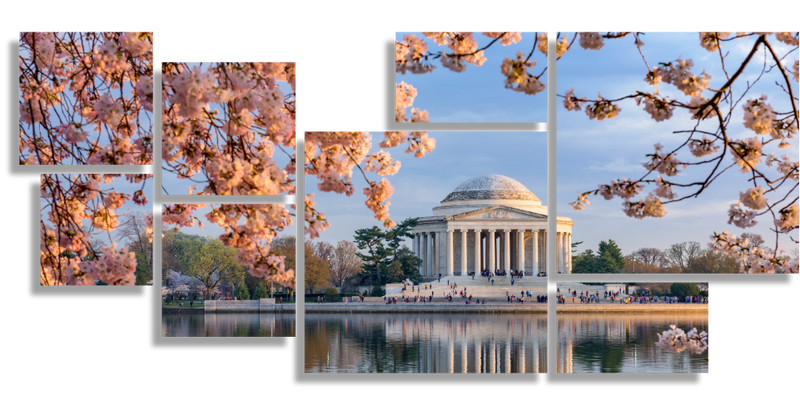 Washington DC in Spring